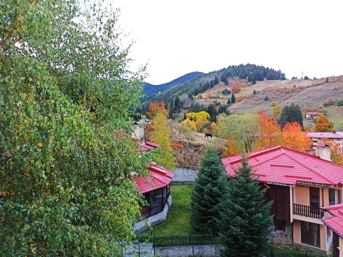 Rodopi Houses Chepelare Esterno foto