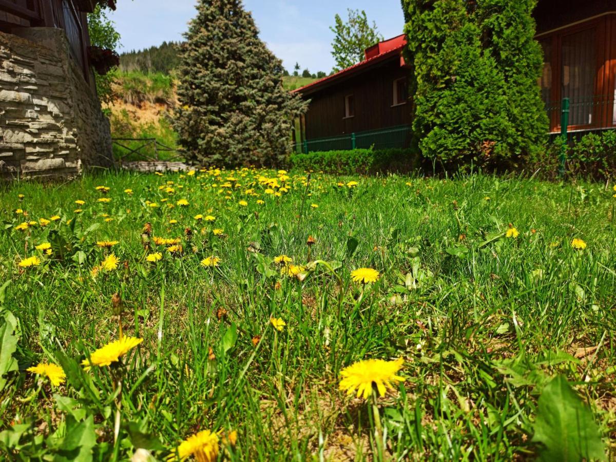 Rodopi Houses Chepelare Esterno foto