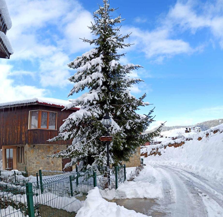 Rodopi Houses Chepelare Esterno foto